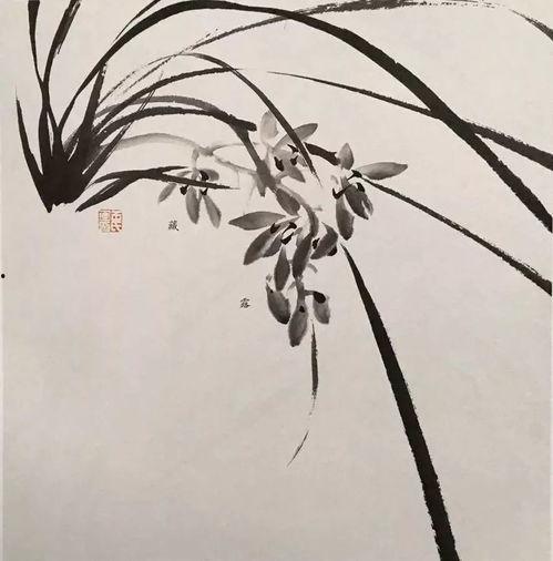 成人国画教学兰花视频,视频教学解析与技巧分享