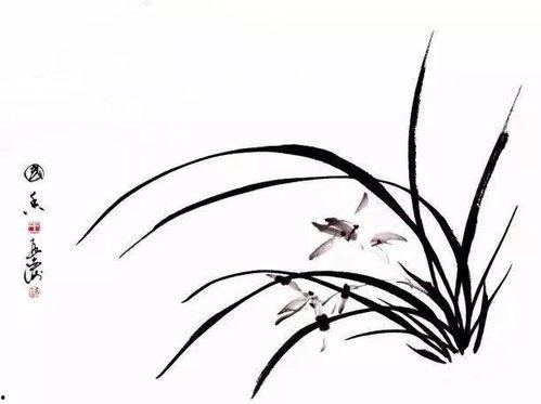 成人国画教学兰花视频,视频教学解析与技巧分享