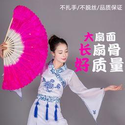 扇子成人鼓舞视频播放,成人鼓舞视频中的魅力瞬间