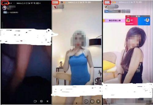 成人全部xxlav视频,一场视觉与情感的盛宴