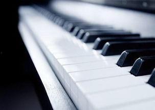 成人钢琴云雀教学视频,成人钢琴学习的云端启航