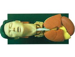 成人模型仿真视频,揭秘虚拟现实交互新篇章