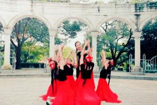 教成人新疆舞蹈视频大全,视频大全中的民族韵律之旅