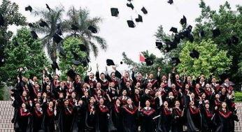 鲁山成人高考视频,揭秘高效备考策略与技巧