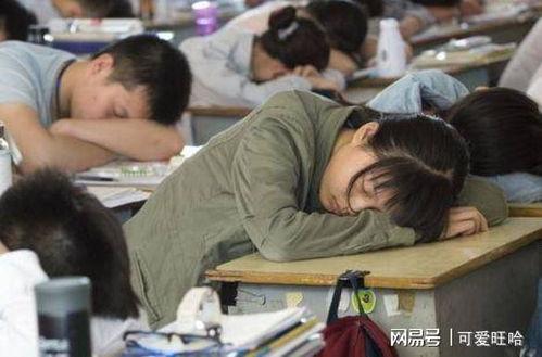 鲁山成人高考视频,揭秘高效备考策略与技巧