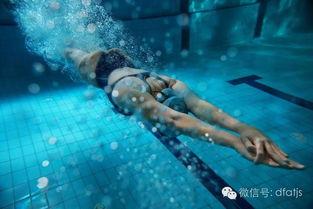 成人游泳教程视频简单版,轻松入门，畅游泳池