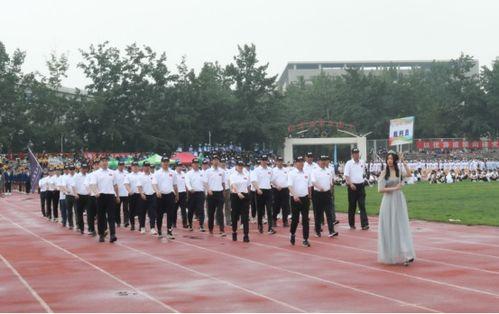 团体操成人男女视频,团体操成人男女风采展示