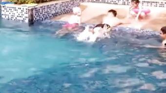 成人怎么学游泳教程视频,成人游泳教程视频精华概述