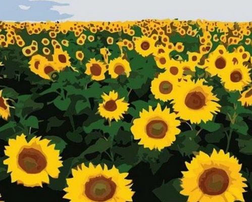 向日葵成人不良视频,警示与反思