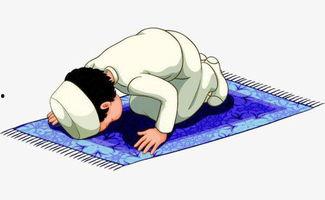 成人磕头姿势图解视频,成人磕头礼仪全解析