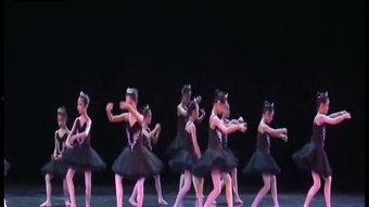 汪清成人舞蹈爵士视频,动感节奏下的优雅舞动