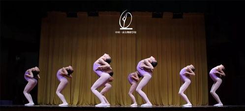 成人舞蹈新人教学视频,成人舞蹈入门教学视频解析