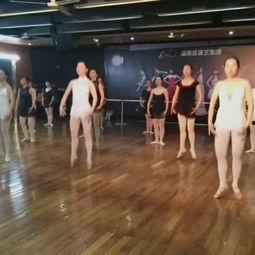 成人舞蹈新人教学视频,成人舞蹈入门教学视频解析