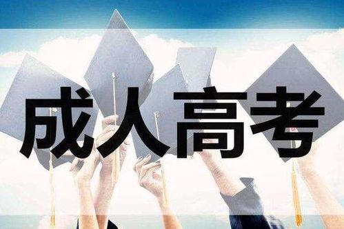 杭州成人高考攻略视频,视频精华解读与备考指南