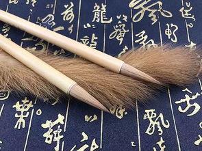 成人毛笔初学如何下手视频