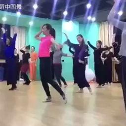 邓州成人舞教学视频,轻松入门，舞动人生